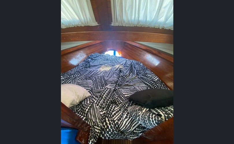 Family Cruiser Matkavene-kuva-4